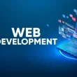 website Development Services
