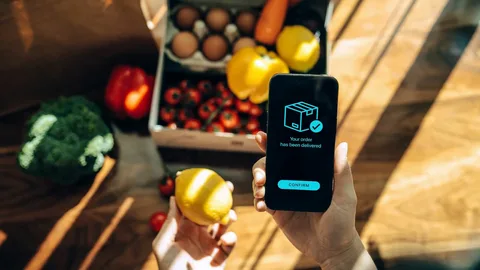 Grocery delivery apps
