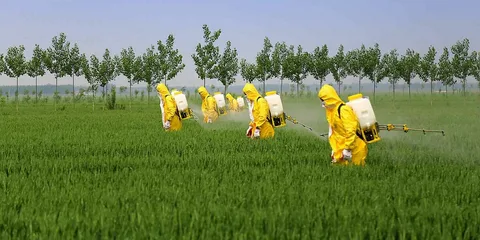 pesticide products