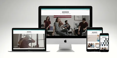 Shopify web development