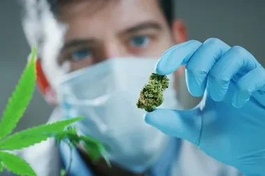 Medical Cannabis
