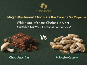 psilocybin mushrooms capsule