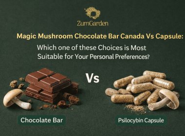 psilocybin mushrooms capsule