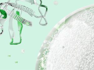 Protein G Magnetic Beads