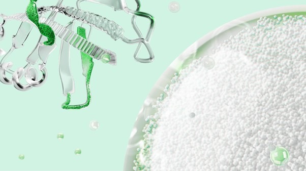 Protein G Magnetic Beads