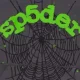 Sp5der Hoodie Clothing Hoodie