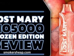 Lost Mary Mo5000 flavors