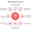 cms development services in usa