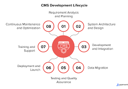 cms development services in usa