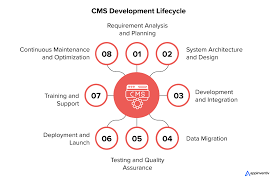 cms development services in usa