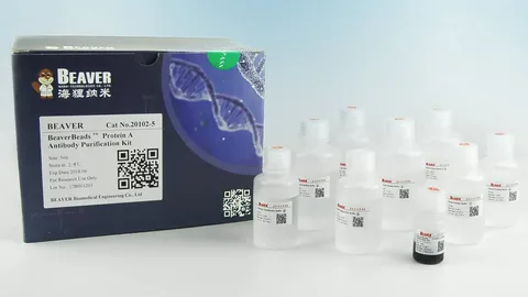 Protein G magnetic beads