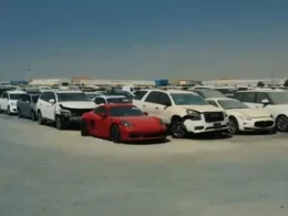 Al Qaryah Car Auctions