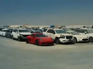 Al Qaryah Car Auctions