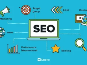 SEO search