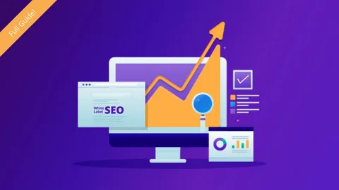 SEO search