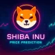 Shiba Inu