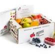 Fruit Gable Boxes