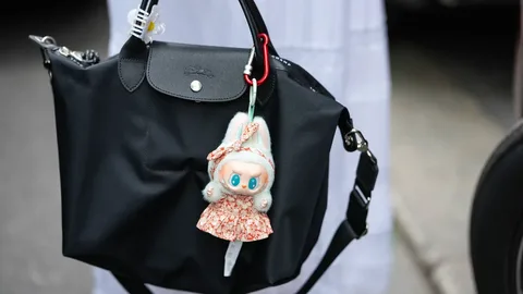 Labubu Bag