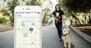 Dog Walking App