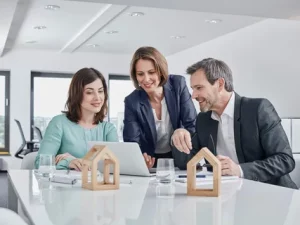 Real Estate Consultant