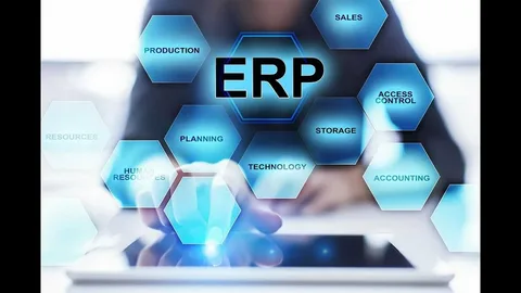 ERP System