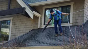 Roof Cleaning