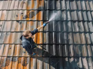Roof Cleaning
