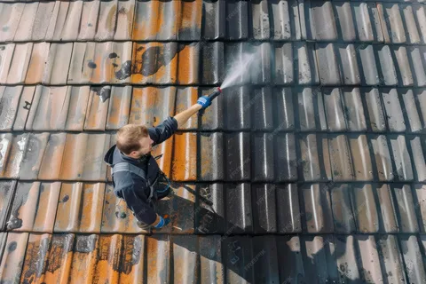 Roof Cleaning