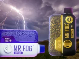 Mr. Fog Aura vape