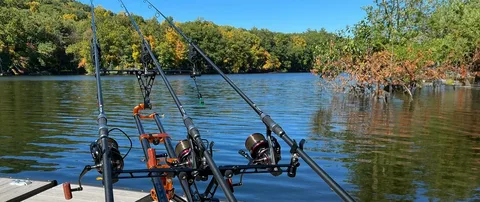 Carp Rods
