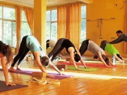 yoga teacher training
