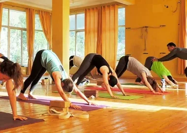 yoga teacher training