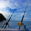 Sea Fishing Rods