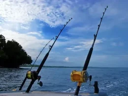 Sea Fishing Rods