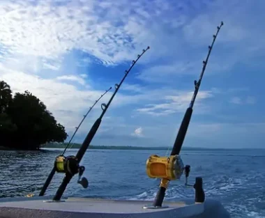 Sea Fishing Rods