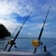 Sea Fishing Rods