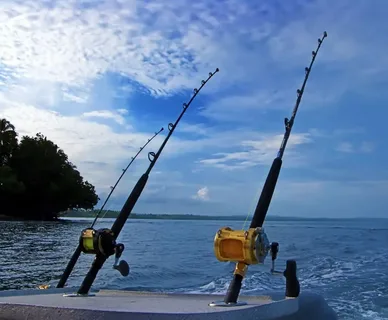 Sea Fishing Rods