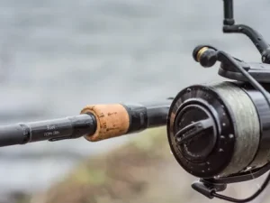 Carp Rods