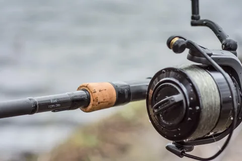 Carp Rods