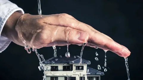 Water Hidden Leaks