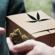 weed online