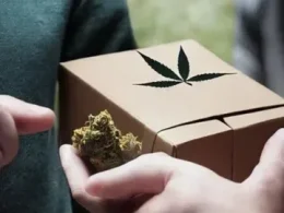 weed online