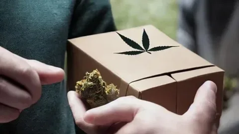 weed online