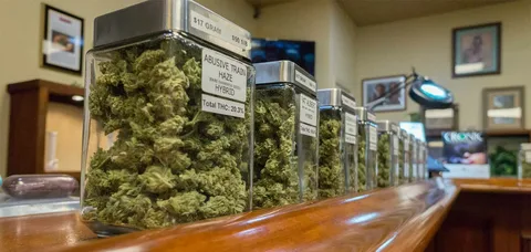 weed online