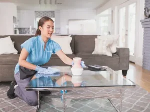 Cleaning Services