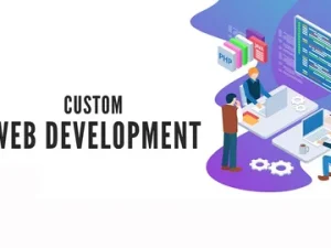 Web Application Development Agency