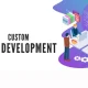 Web Application Development Agency