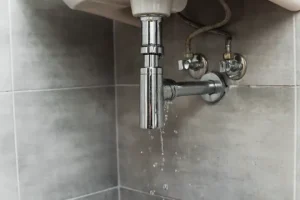 Water Bill