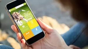 On-Demand Pet Care App