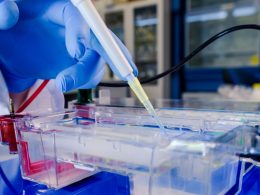 Protein G Column Antibody Purification
